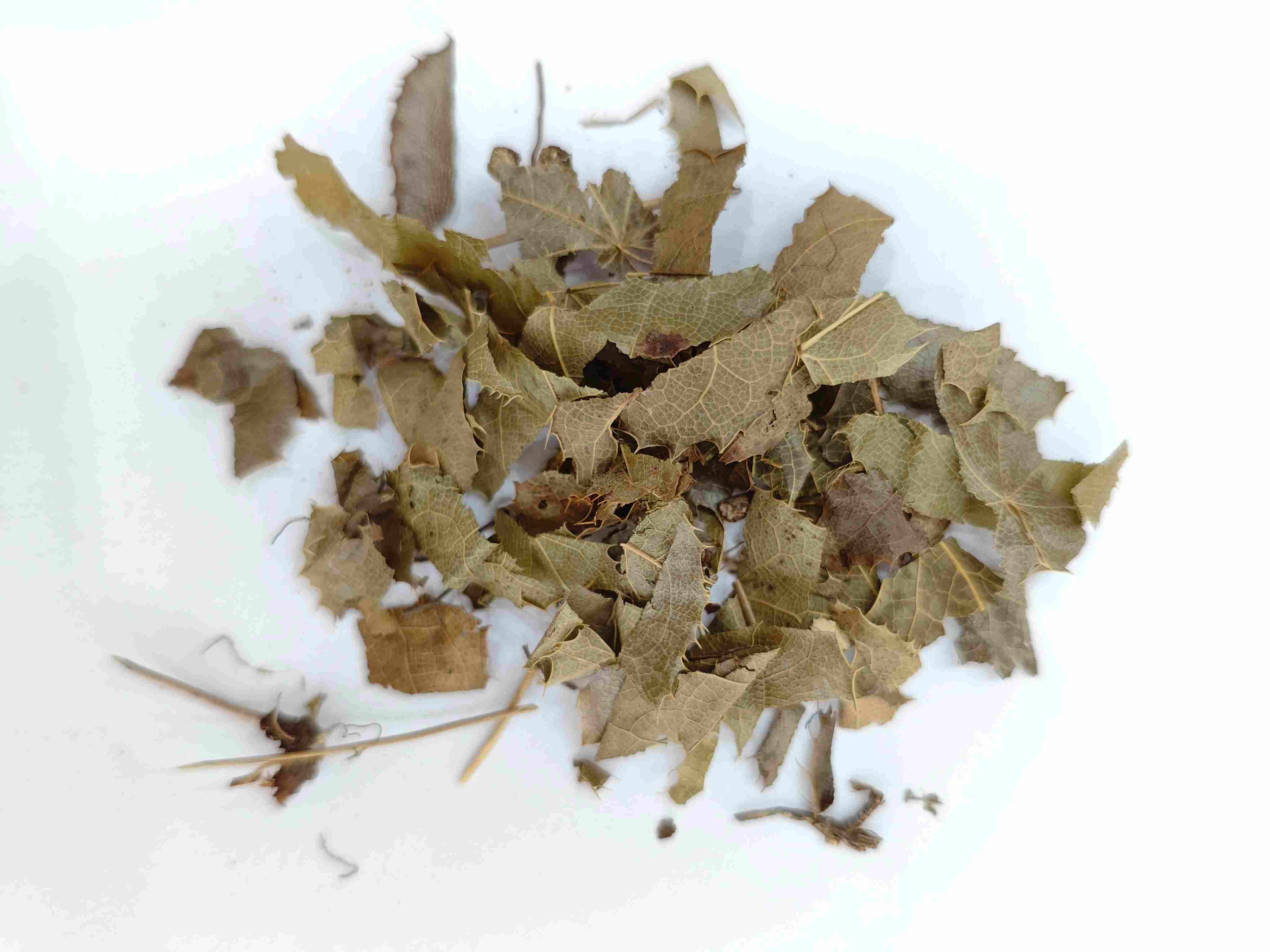 Epimedium (YínyángHuò)