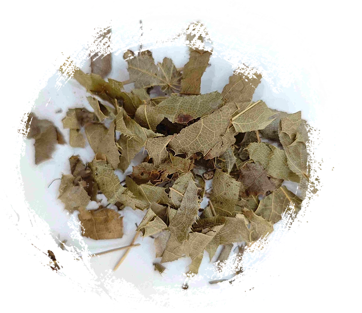 Epimedium (YínyángHuò)